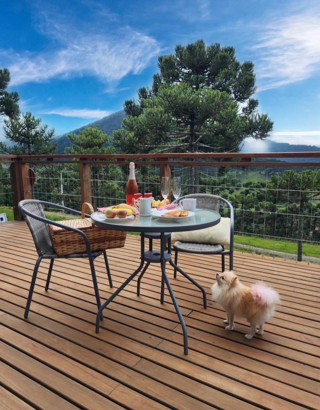 Altitude Maxima - Cabanas De Altitude Urubici Εξωτερικό φωτογραφία